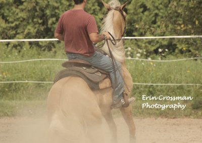 horse-reining-slide