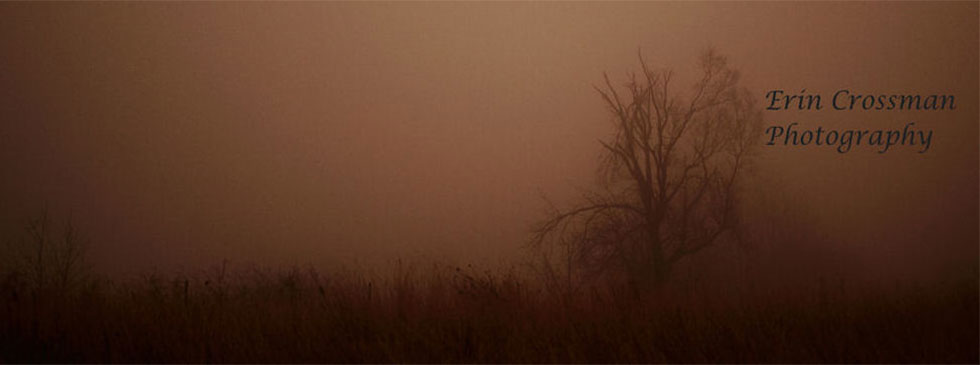 Erin Crossman Nature Photography